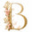 BANNO'S - Home